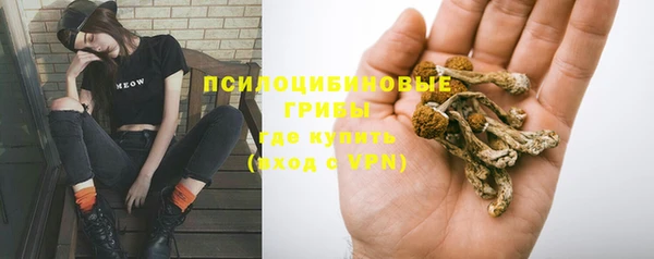 прущие грибы Алексеевка