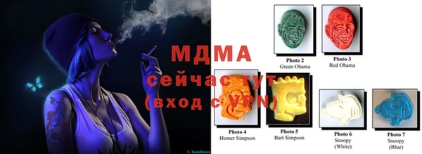 прущие грибы Алексеевка